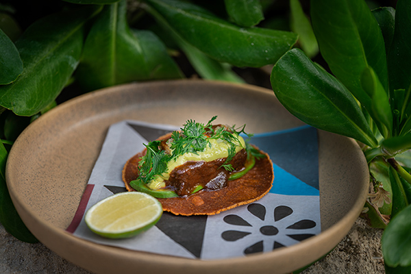 Deliciosos platillos de cocina de autor en el restaurante Encanta, en Riviera Maya.