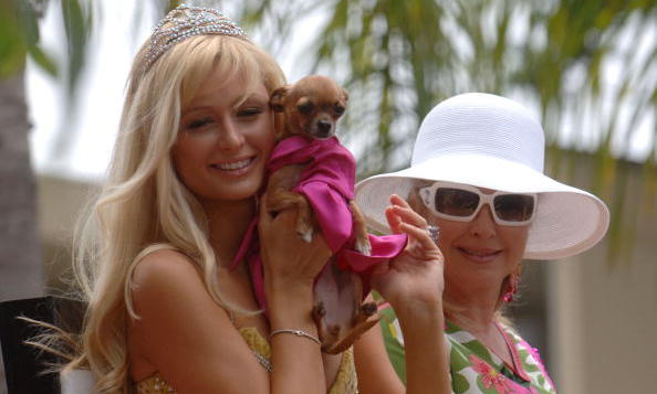 Paris Hilton heartbroken as pet dog Tinkerbell dies
