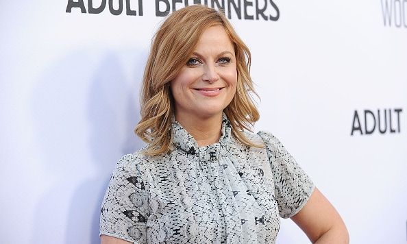 Amy Poehler: It's 'weird' working in male-dominated entertainment industry
