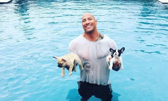 Dwayne 'The Rock' Johnson shares adorable video of puppy Brutus