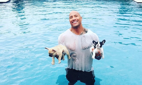 Dwayne ‘The Rock’ Johnson shares adorable video of puppy Brutus