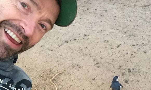 Hugh Jackman's latest selfie co-star: an adorable baby penguin!