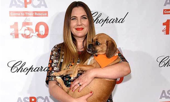  Drew Barrymore's dogs help her through difficult times