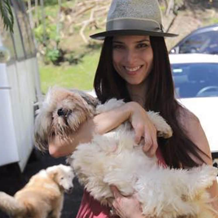 Roselyn Sanchez dogs