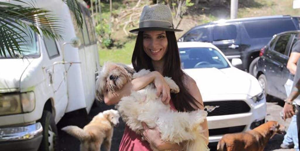 So cute! Roselyn Sanchez's rescue pup pals will make your day