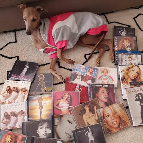 Anitta has social media interaction with Mariah Carey - Foto 1