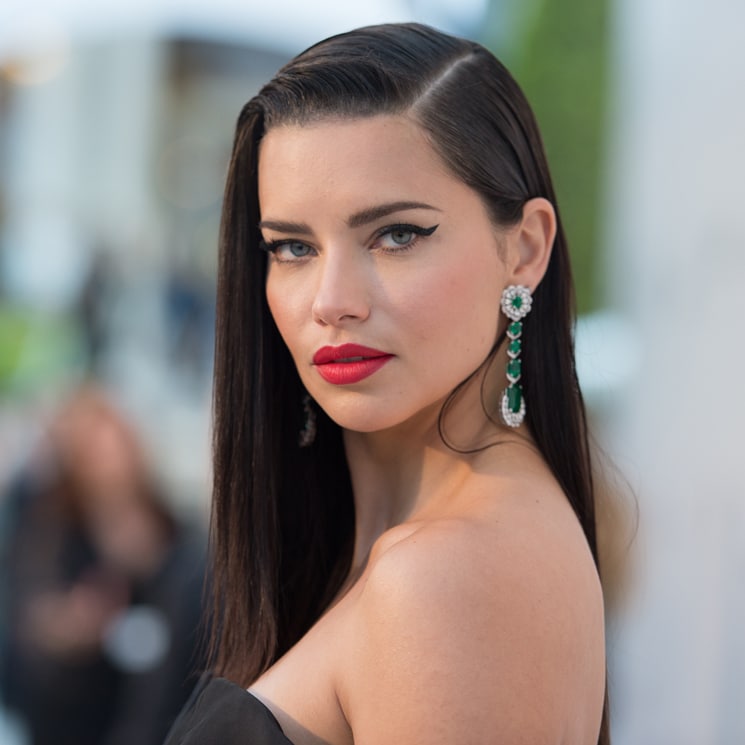 Adriana Lima and other stars shed light on Brazil's Amazon rainforest fires