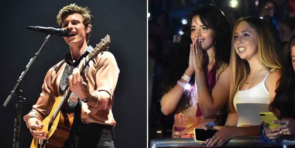 Camila Cabello watching Shawn Mendes perform is the most adorable thing(02)