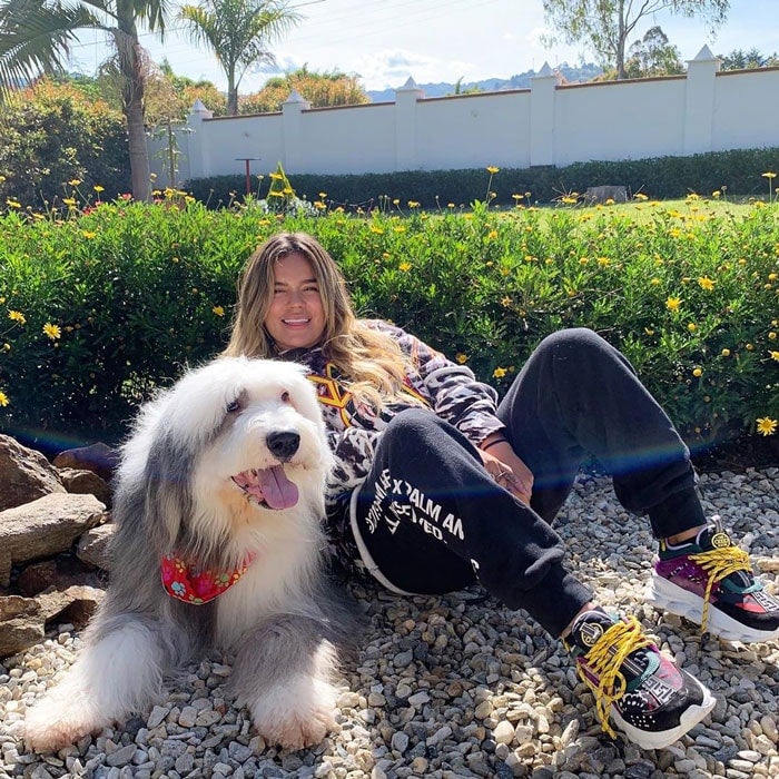 Karol G And Her Celebrity Pet Otto Are Reunited After Six Months Foto 1