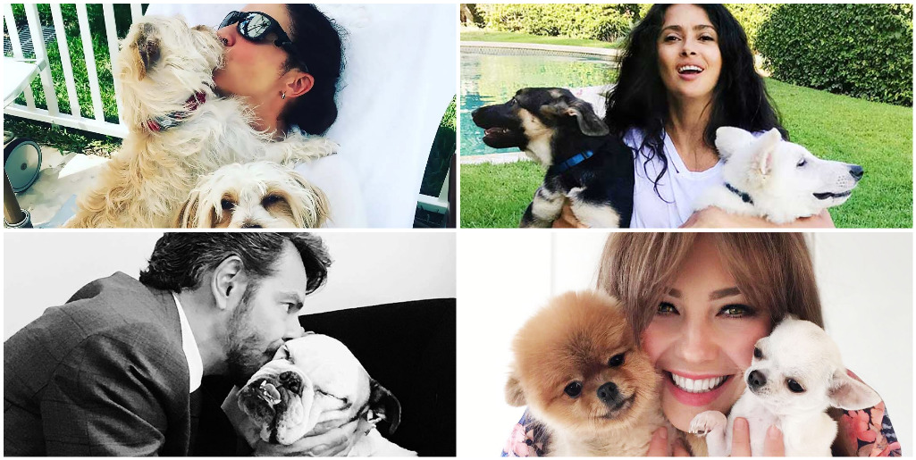 ¡Tiernos doglovers! Celebridades hispanas que adoran a sus perros