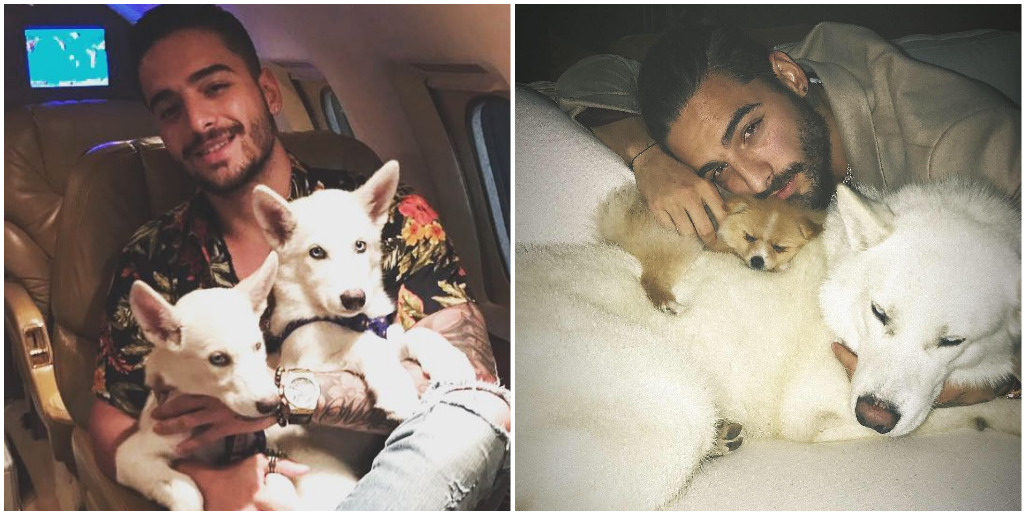 Maluma encontró en sus perros a su mejor y más leal compañía - Foto 1