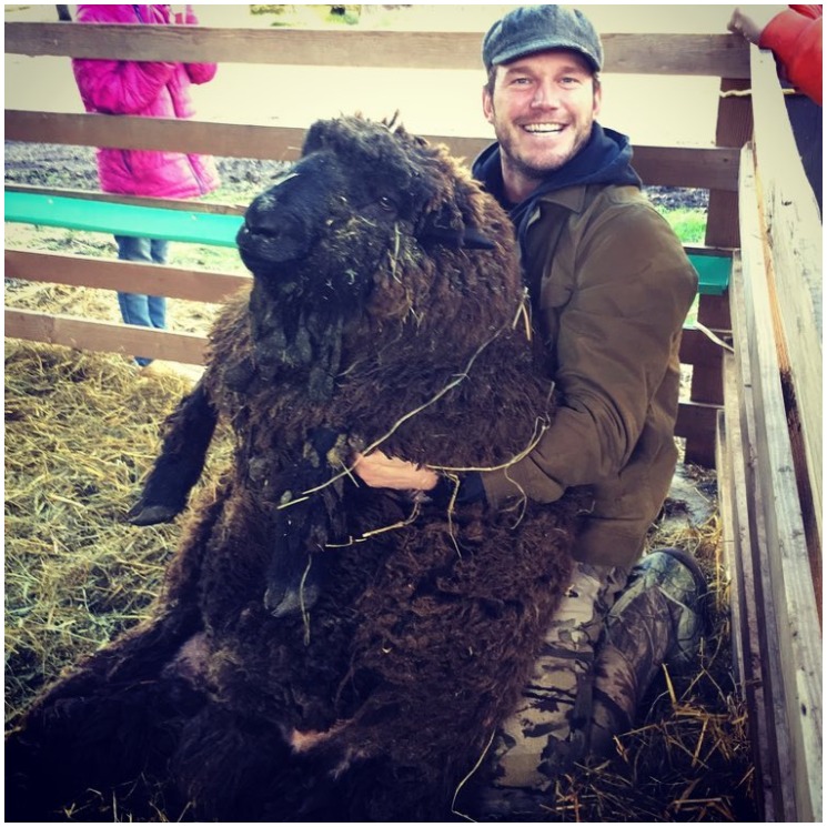 ¡Todo un granjero! Chris Pratt y sus divertidas fotos rodeado de animales 