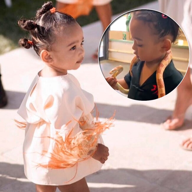 ¡Pequeña valiente! Con solo un año, la hija de Kim Kardashian juega con serpientes