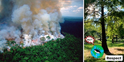 Incendios en Amazonas preocupan a las celebridades y buscan acciones a favor del medio ambiente