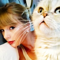 ¡Taylor Swift y su pasión felina! Conoce a sus gatos Meredith, Olivia y Benjamin