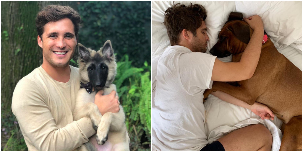 Diego Boneta y las fotos en que presume su gran amor por los perros