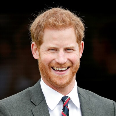 Prince Harry cancels trip to the Netherlands