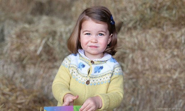Princess Charlotte's sweater from second birthday photo quickly sells out