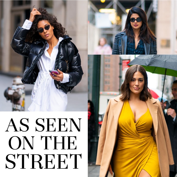 Priyanka Chopra and Ashley Graham are this week's best dressed - here's the coolest celeb street style!