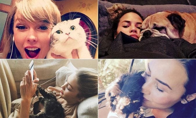 Celebrity pets Dogs cats and more popular star pets on Instagram