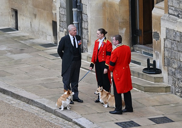 Príncipe Andres y los corgis