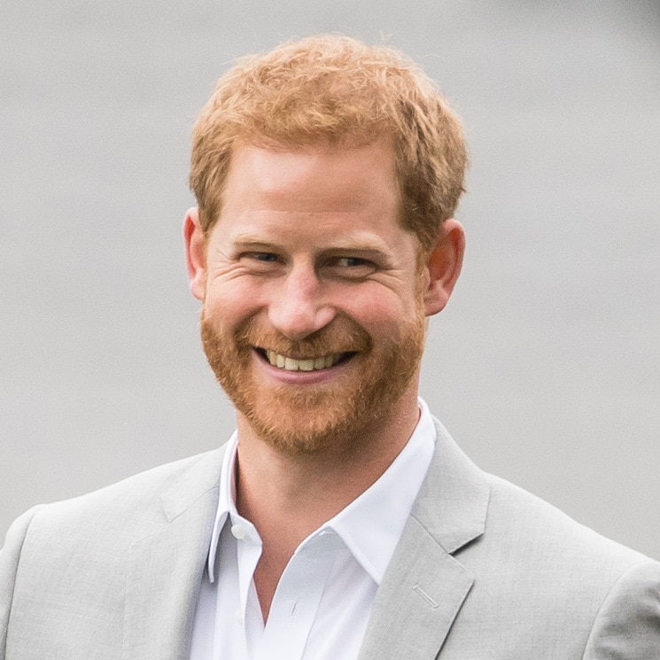 Prince Harry Netherlands trip 