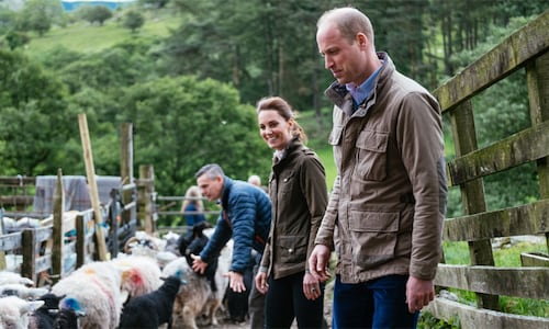 Kate Middleton and Prince William´s royal attempt to shear sheep