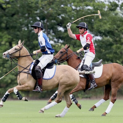 Prince William beats brother Prince Harry at charity polo match