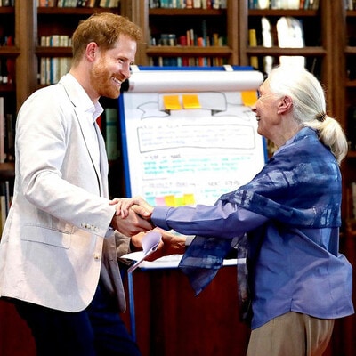 Prince Harry and Dr. Jane Goodall