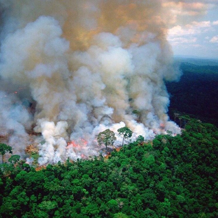 Incendios en Amazonas preocupan a las celebridades y buscan acciones a favor del medio ambiente