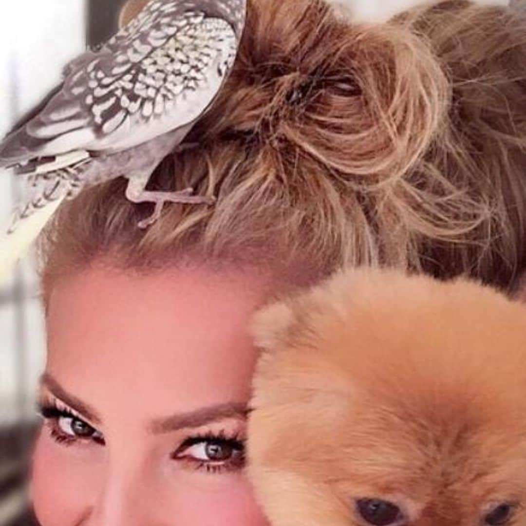 Thalía es un amor con sus perritos
