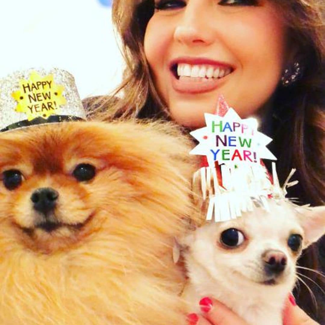 Amorcita Love y Gigi le dieron la bienvenida al 2018