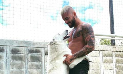 Maluma shares photos of his fur babies, his dogs, on Instagram and social media