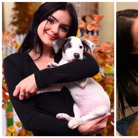 Ariel Winter demonstrating her passion for animals

