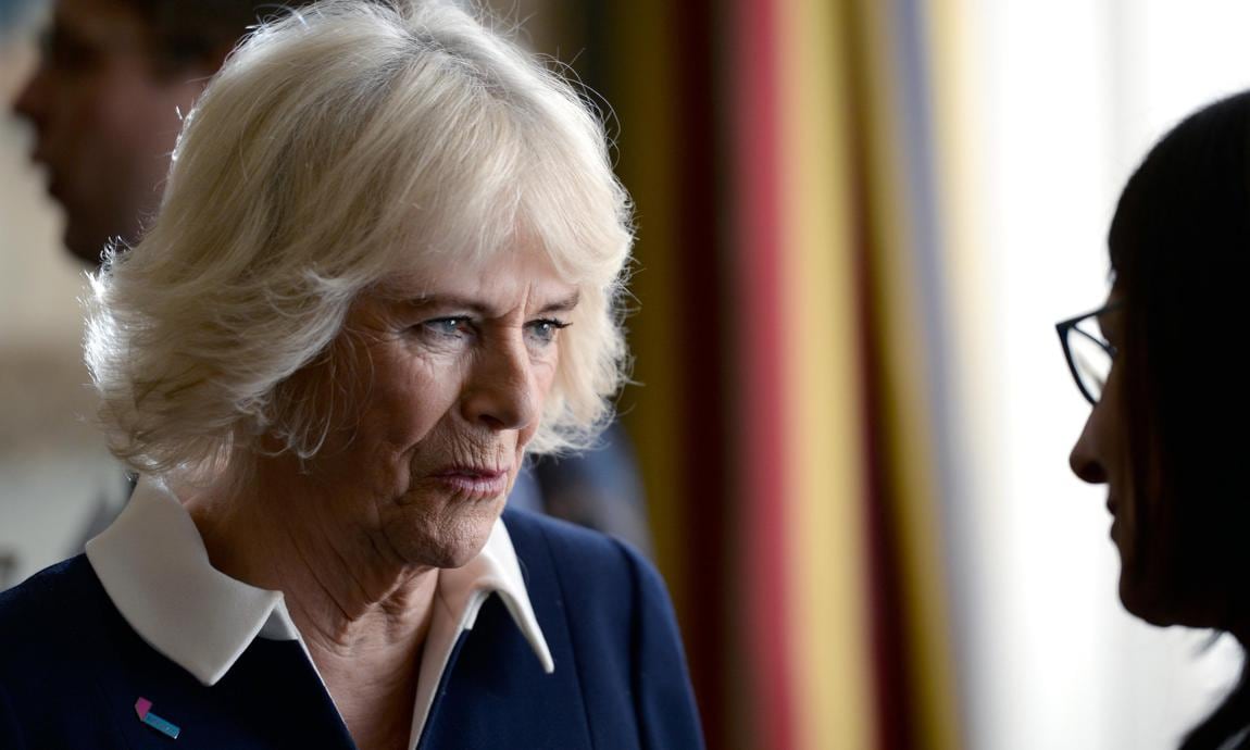 Camilla hosted a reception for a domestic abuse charity atClarence House