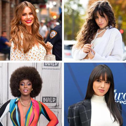 The hair is one of the feminine traits that defines these Latina stars