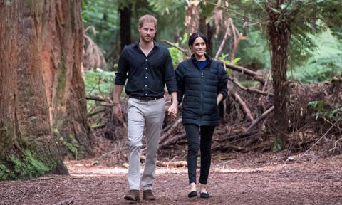 Meghan Markle and Prince Harry hold hands during stroll in the park