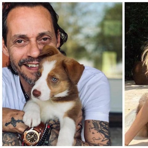 Marc Anthony with his puppy Gigi