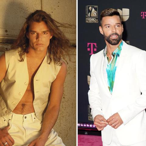 Ricky Martin style evolution