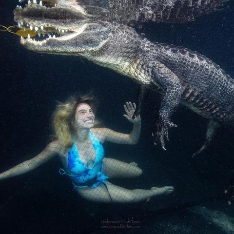 Lele Pons swims with alligators