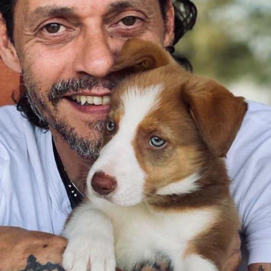 Marc Anthony y su cachorrita