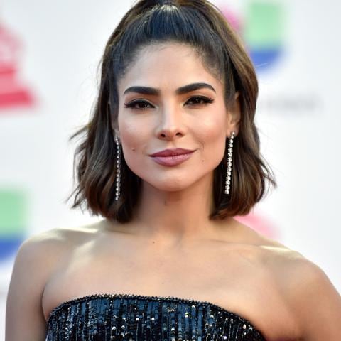 The 19th Annual Latin GRAMMY Awards - Arrivals