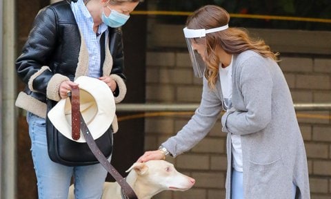 Drew Barrymore helps rescue dog in Manhattan