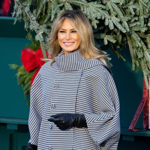 First Lady Melania Trump posing with the carriage that is delivering the White House Christmas Tree.
