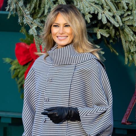 First Lady Melania Trump posing with the carriage that is delivering the White House Christmas Tree.