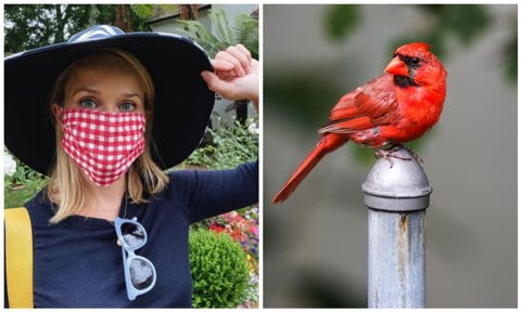 Reese Witherspoon wears a mask