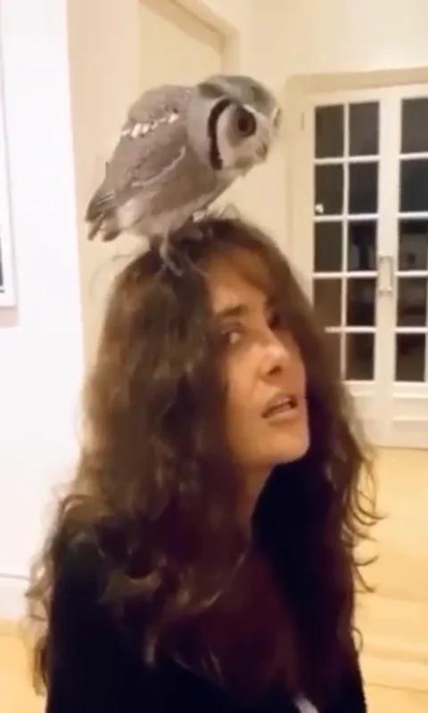 Salma Hayek owl