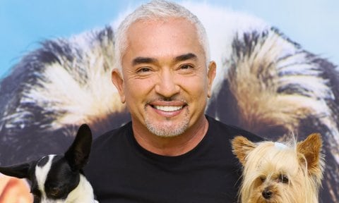 National Geographic Hosts Cesar Millan: Better Human Better Dog Premiere "Pawty" And Live Screening