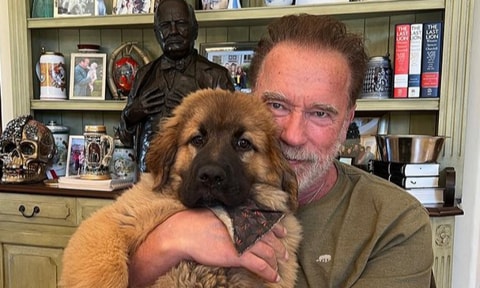 Arnold Schwarzenegger and his new pup
