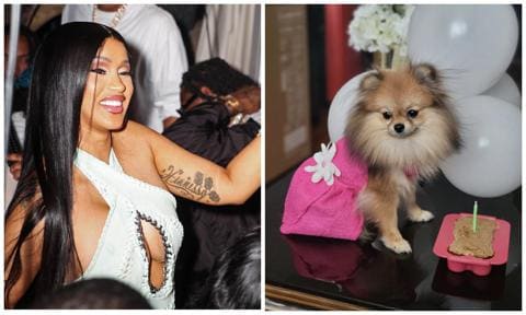 Cardi B shows dog Fluffy in adorable pink dress for her birthday